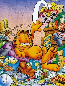messy garfield